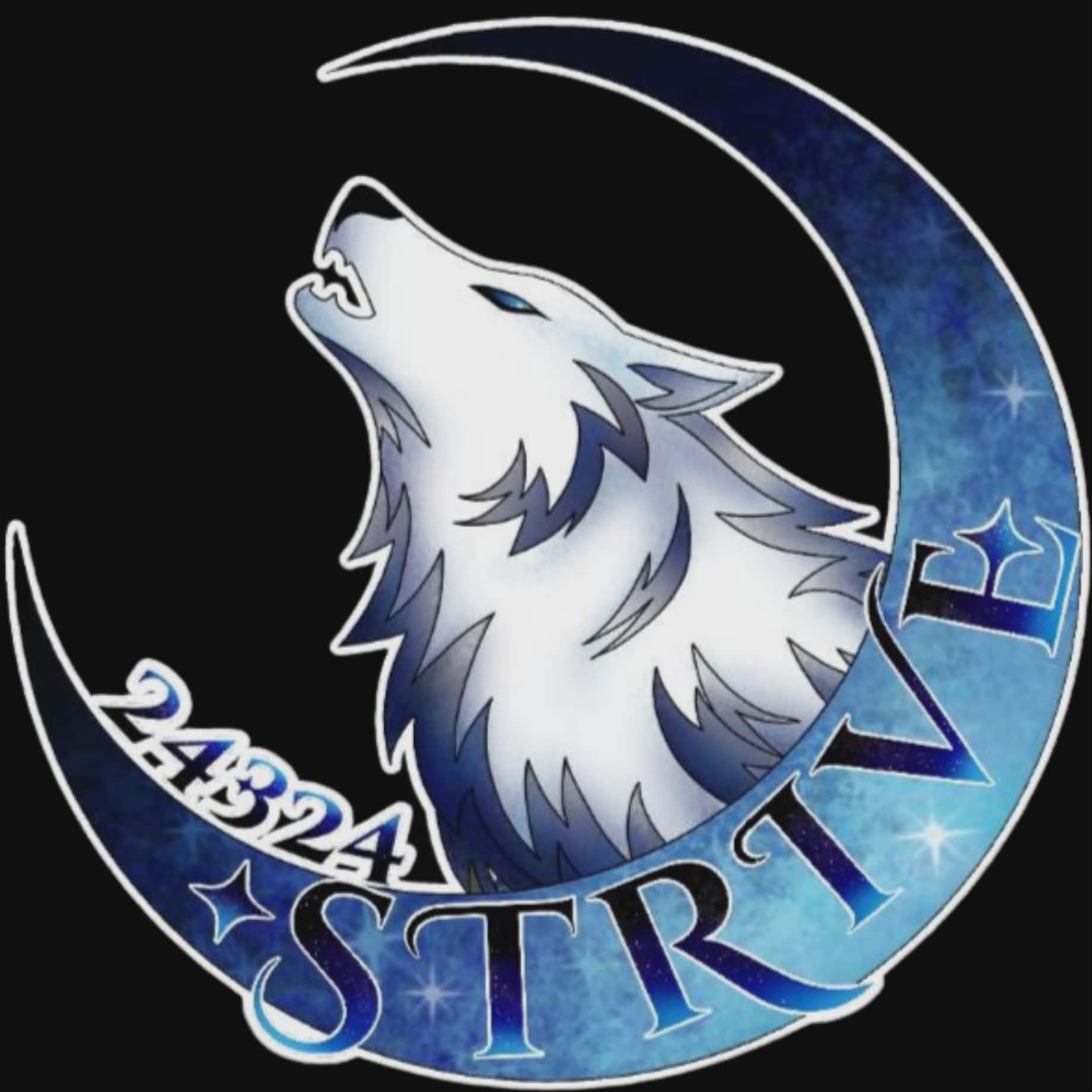Team Logo