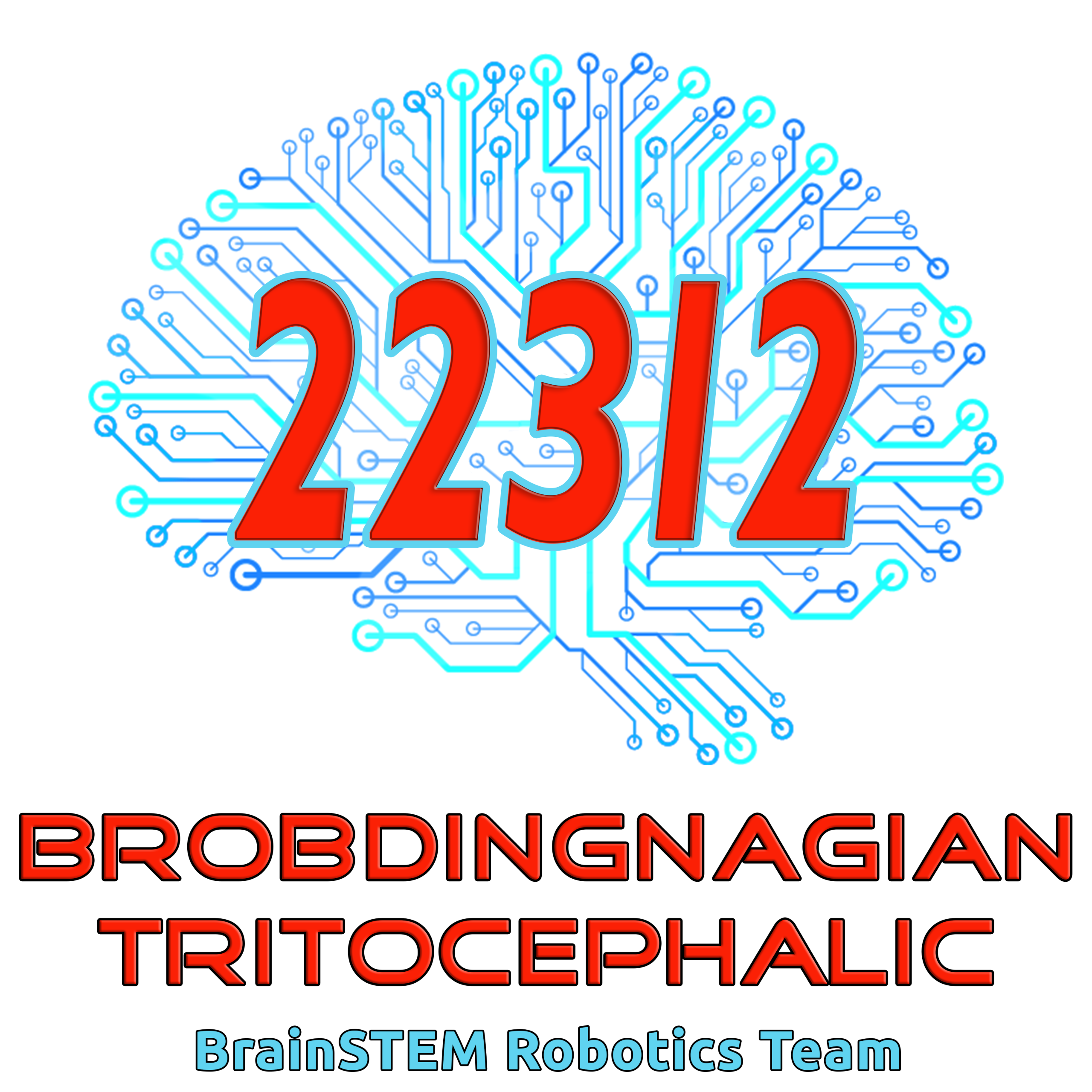 Team Logo