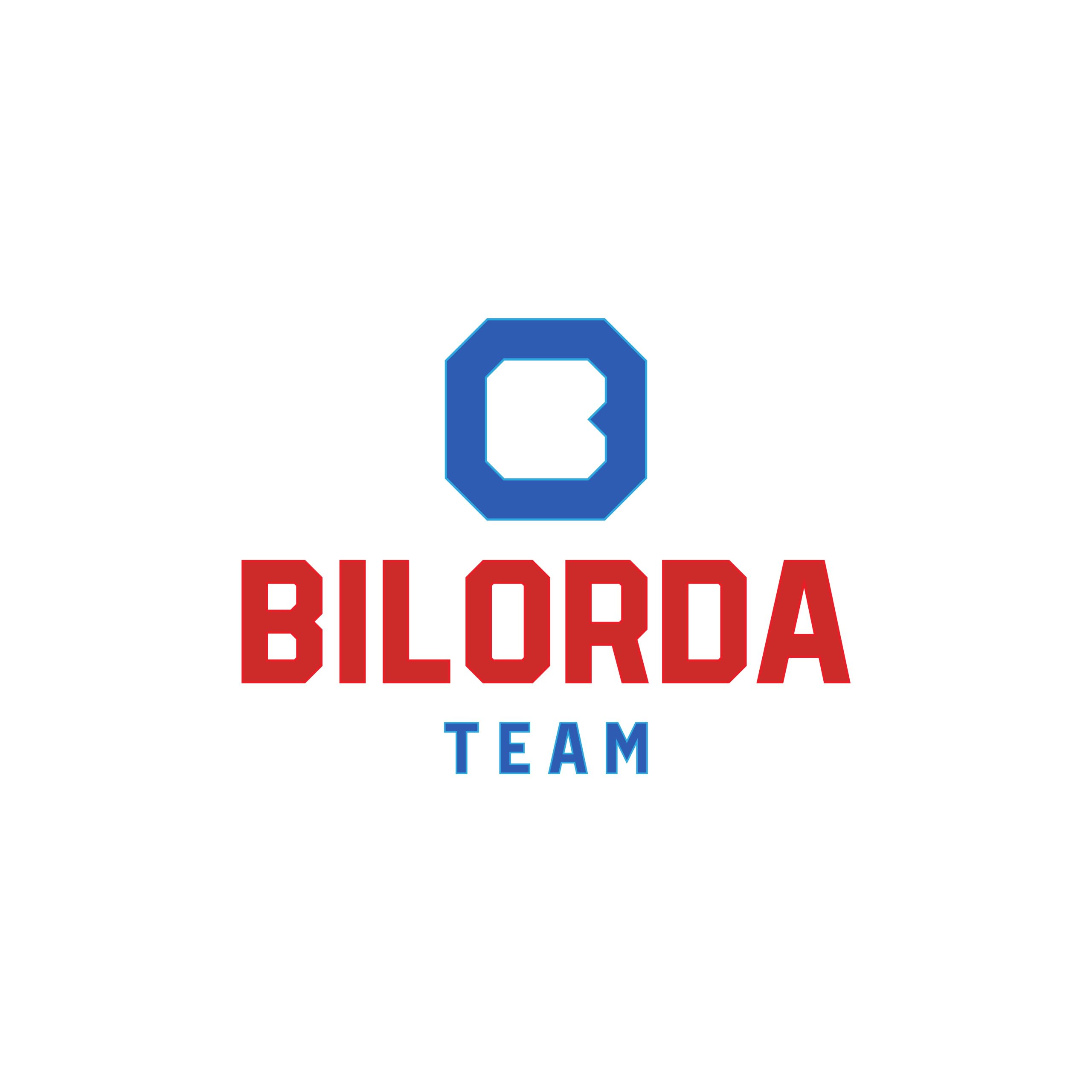 Team Logo